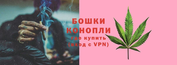 PSILOCYBIN Белокуриха