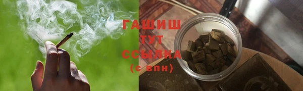 PSILOCYBIN Белокуриха
