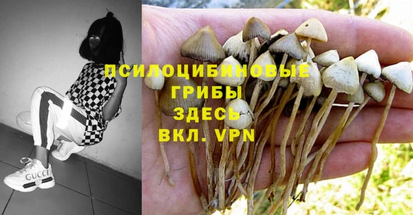 а пвп мука Беломорск