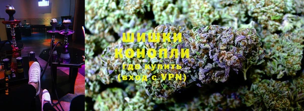 PSILOCYBIN Белокуриха