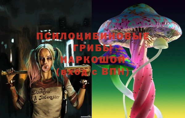 прущие крисы Белоозёрский