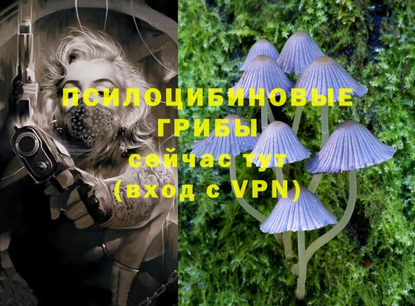 PSILOCYBIN Белокуриха