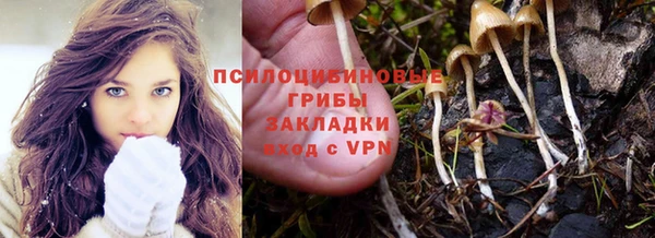 альфа пвп Гусев