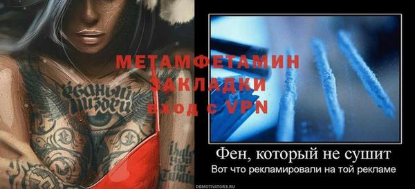 PSILOCYBIN Белокуриха