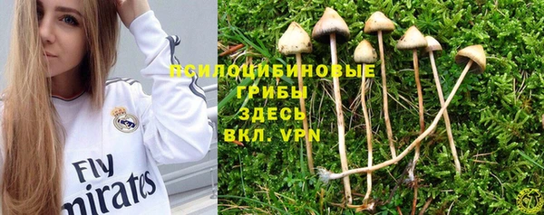 прущие крисы Белоозёрский