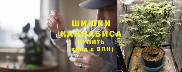 хмурый Гусь-Хрустальный