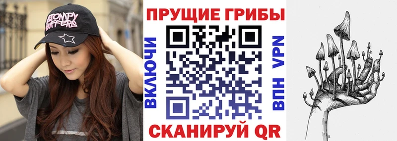 наркотики  ссылка на мегу ссылка  Псилоцибиновые грибы прущие грибы  Елизово 
